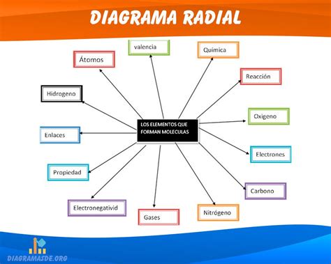 diagrama radial